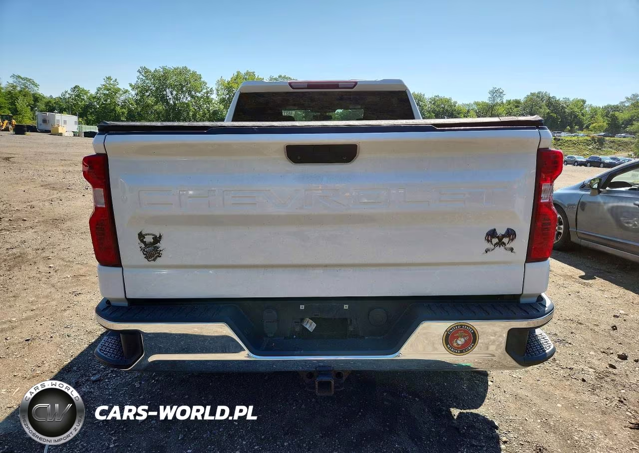 2019 Chevrolet Silverado K1500 VIN:1GCPYAEH6KZ318103 - 6
