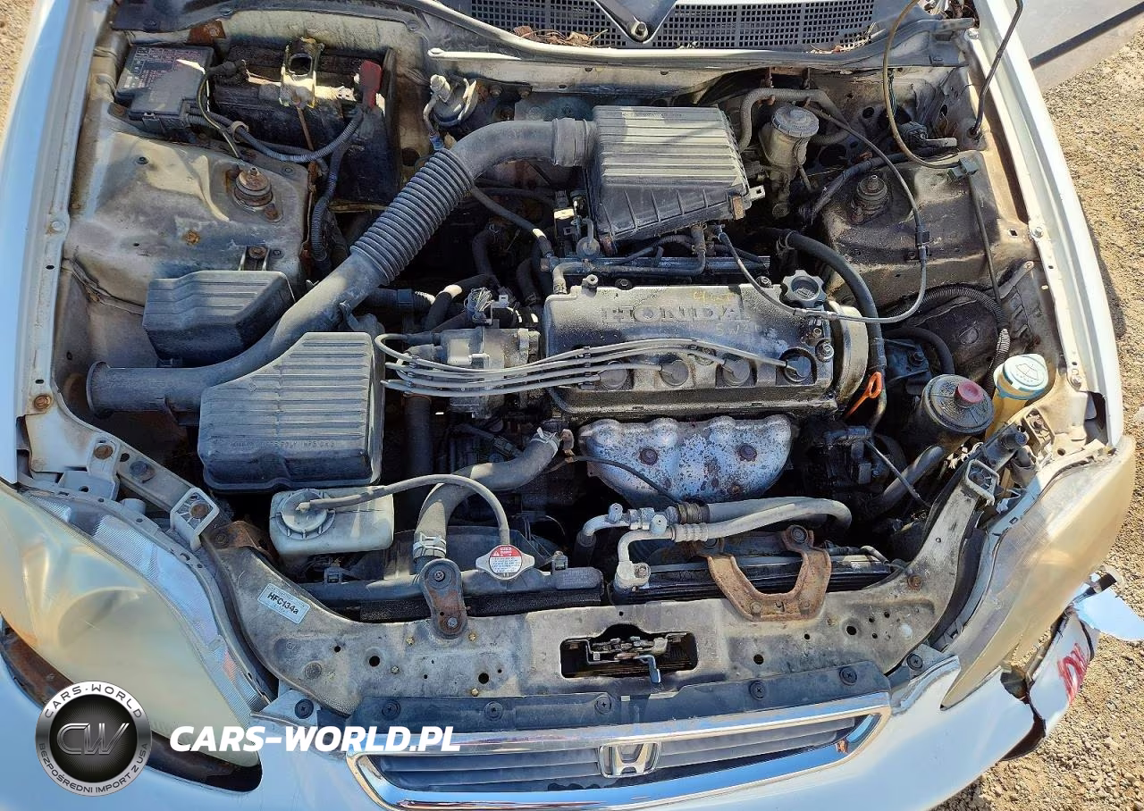 1996 Honda Civic Dx VIN:1HGEJ6629TL038233 - 11