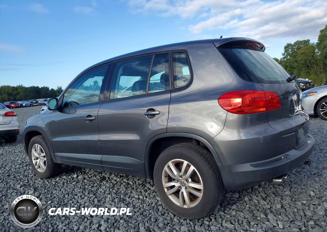 2014 Volkswagen Tiguan S VIN:WVGAV3AX8EW541087 - 2