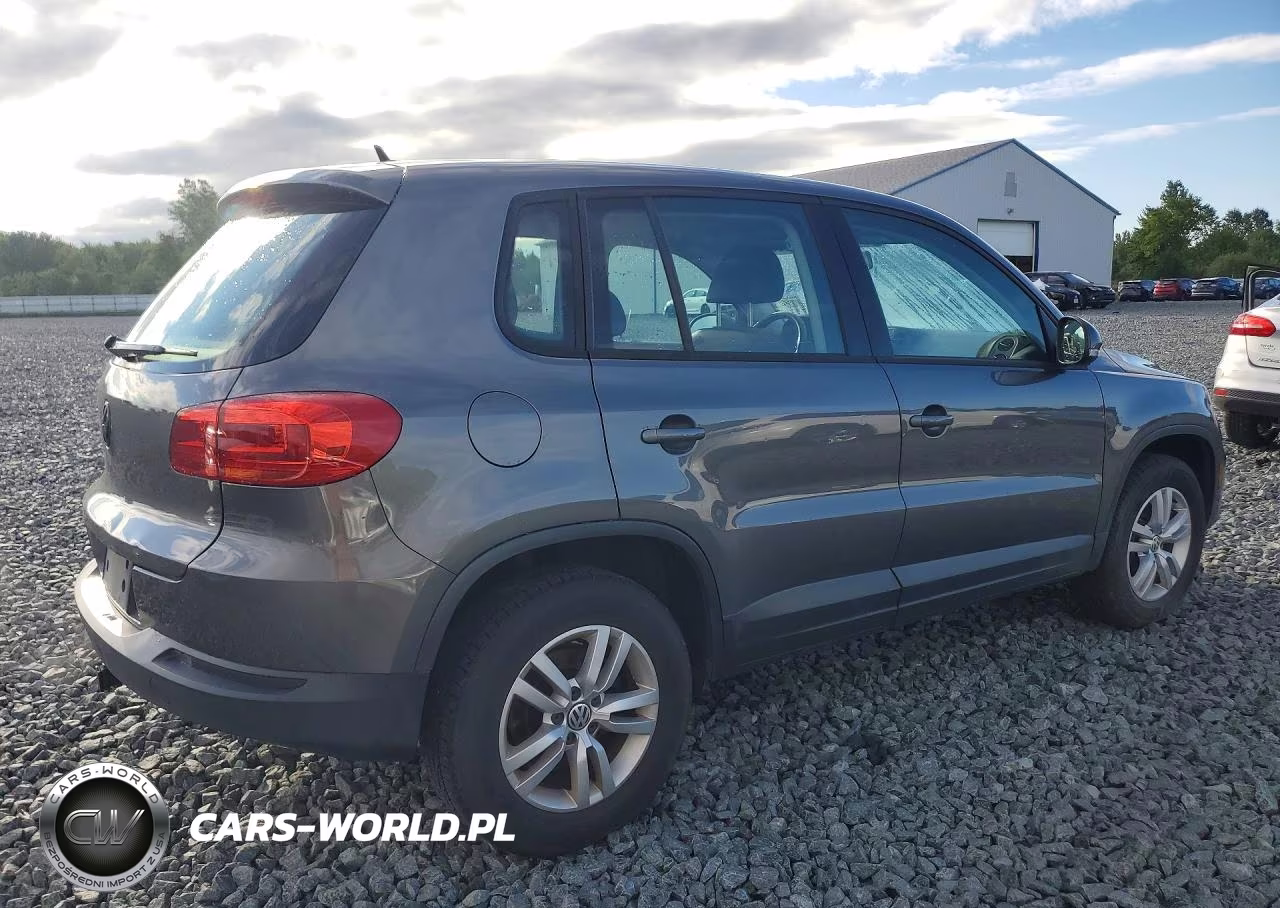 2014 Volkswagen Tiguan S VIN:WVGAV3AX8EW541087 - 3