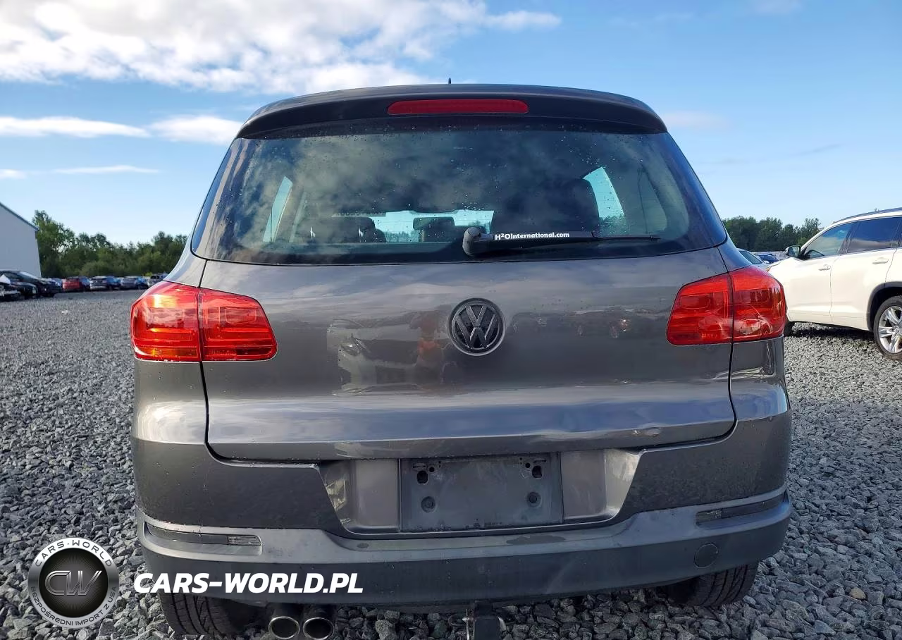 2014 Volkswagen Tiguan S VIN:WVGAV3AX8EW541087 - 6