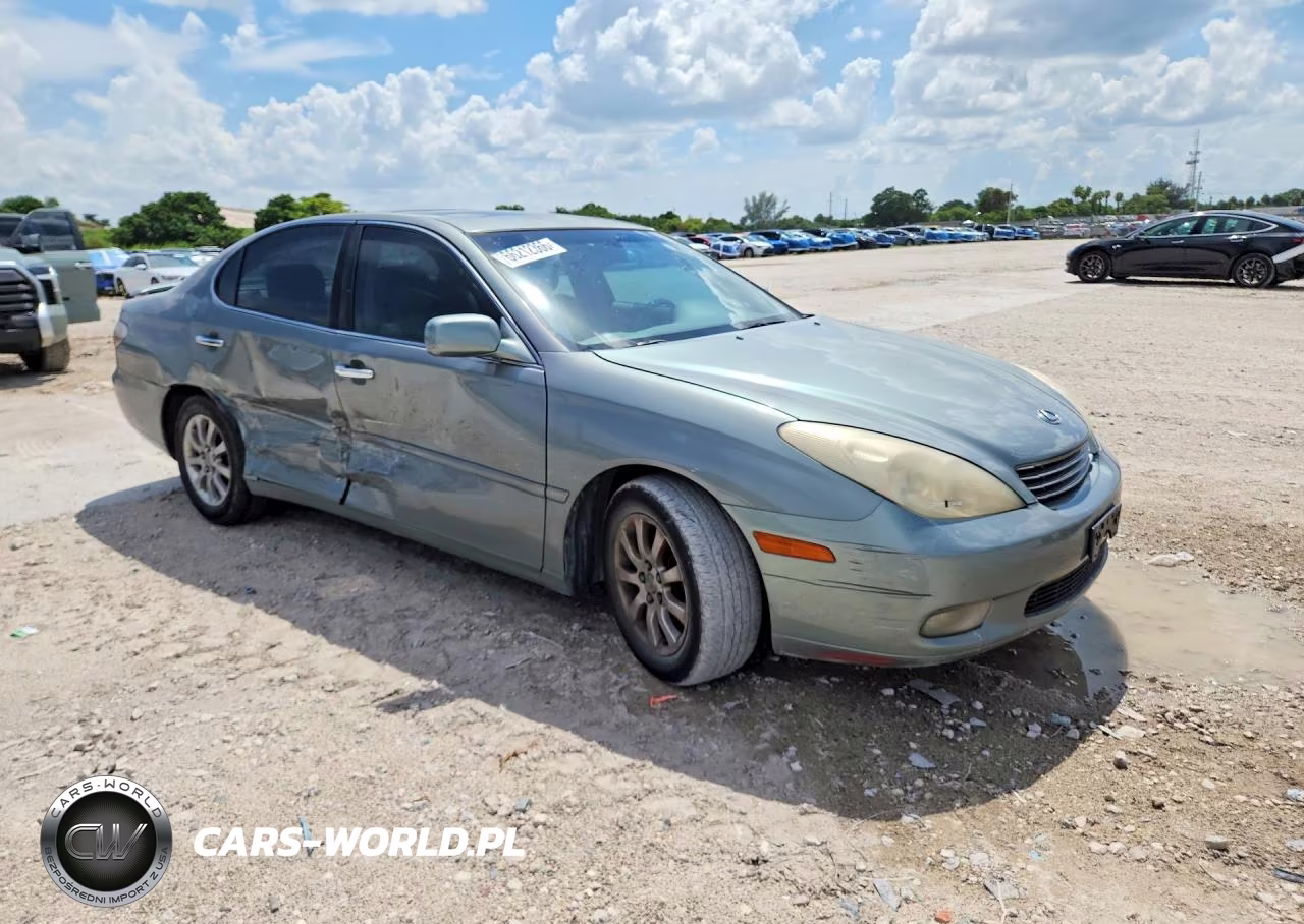 2004 Lexus Es 330 VIN:JTHBA30G145002206 - 4
