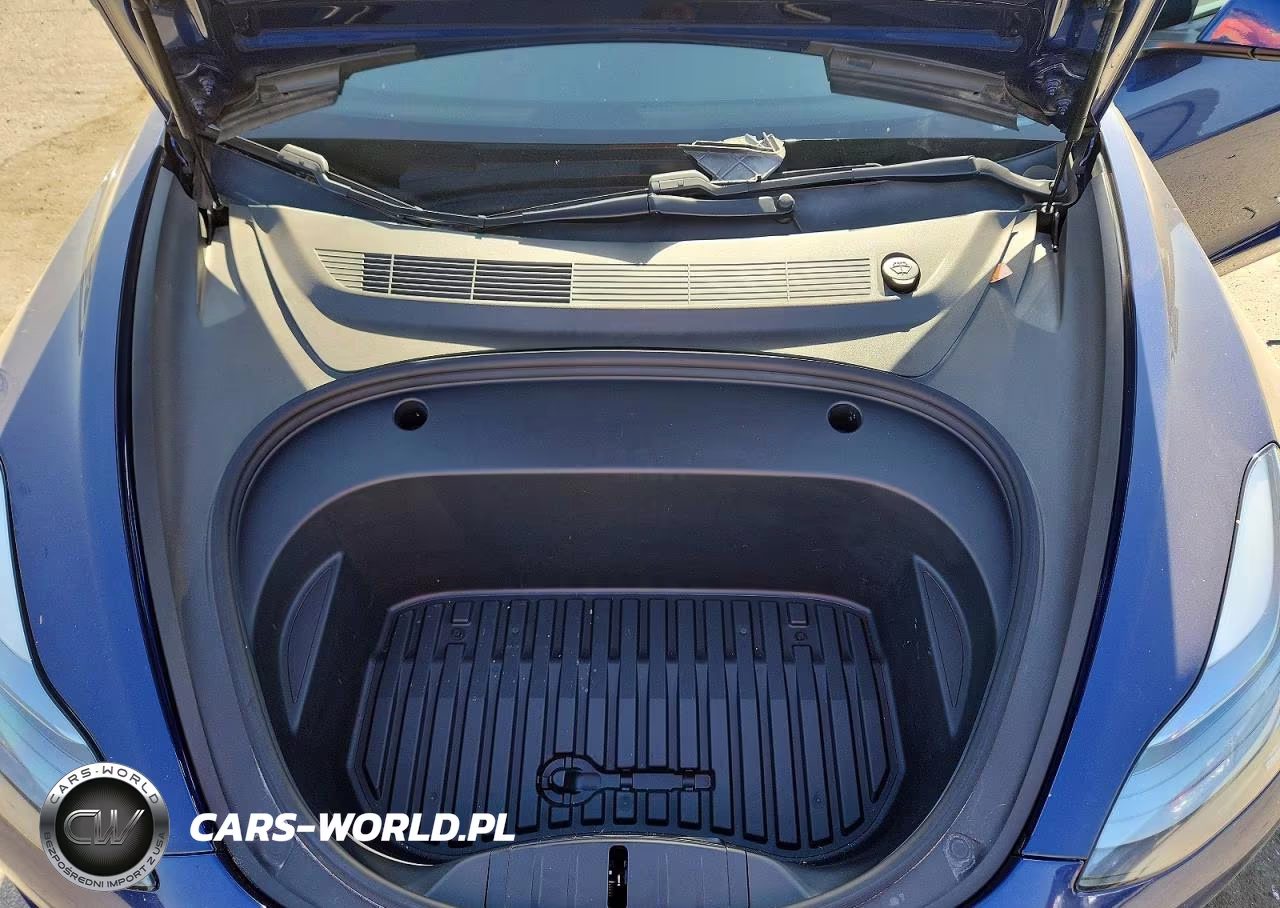 2021 Tesla Model 3 VIN:5YJ3E1EC9MF077481 - 11