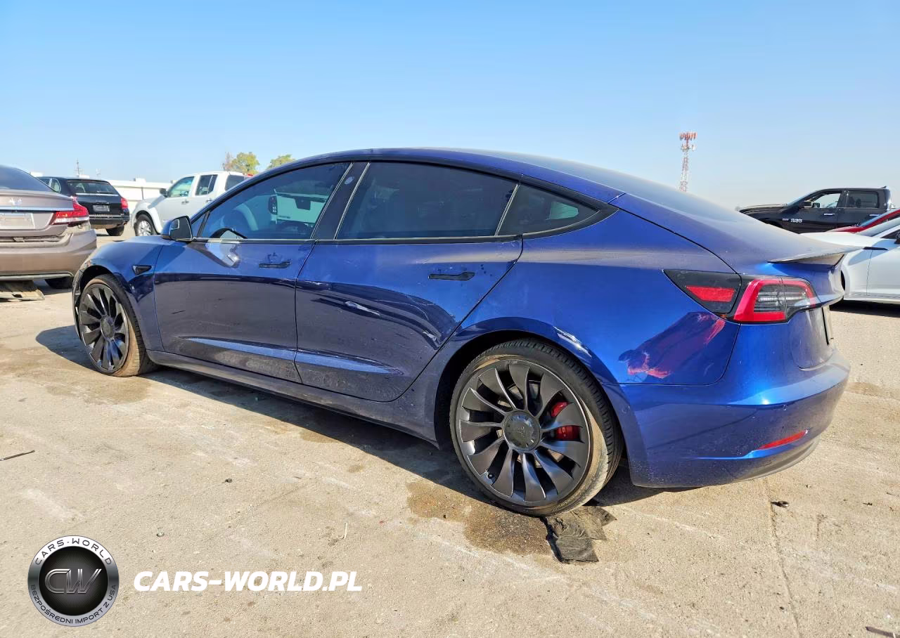 2021 Tesla Model 3 VIN:5YJ3E1EC9MF077481 - 2