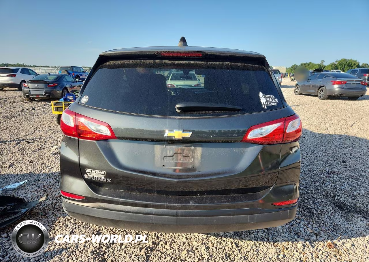 2020 Chevrolet Equinox Ls VIN:3GNAXHEV7LS644988 - 6