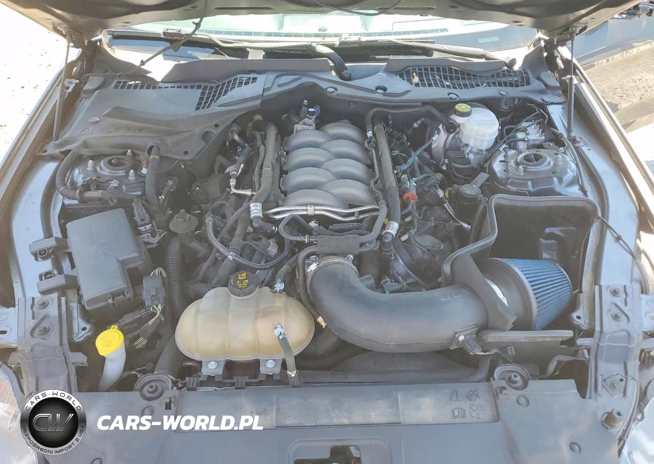 2019 Ford Mustang Gt VIN:1FA6P8CF6K5146709 - 11