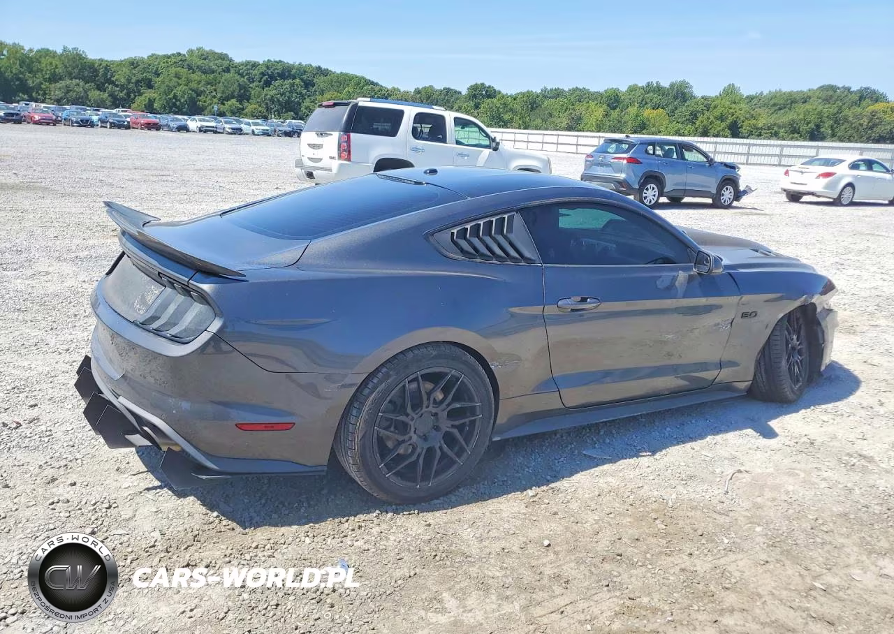 2019 Ford Mustang Gt VIN:1FA6P8CF6K5146709 - 3