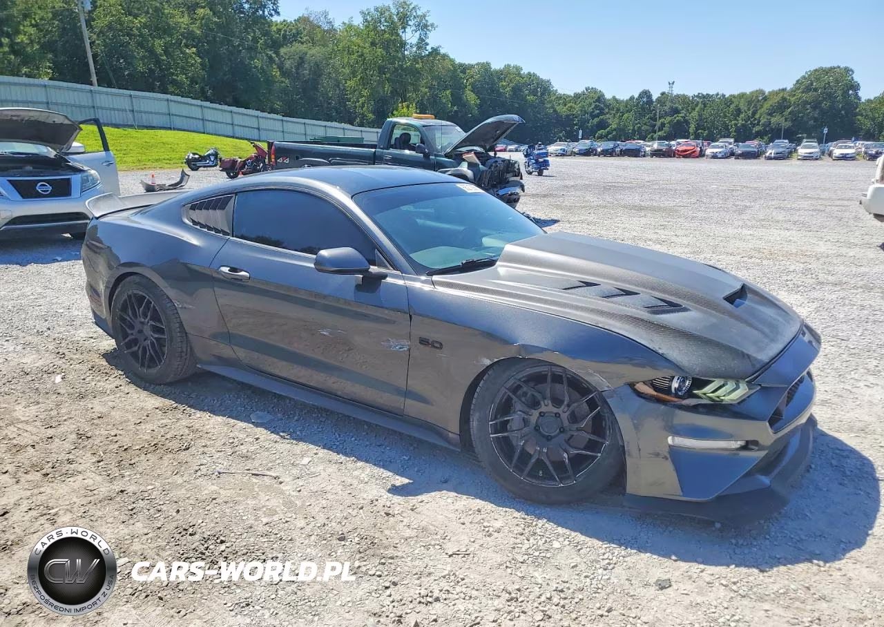 2019 Ford Mustang Gt VIN:1FA6P8CF6K5146709 - 4