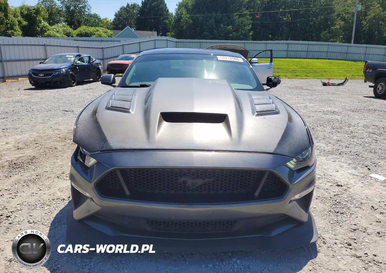 2019 Ford Mustang Gt VIN:1FA6P8CF6K5146709 - 5