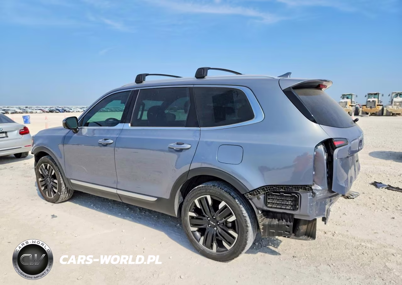 2024 Kia Telluride Sx VIN:5XYP54GC2RG564618 - 2