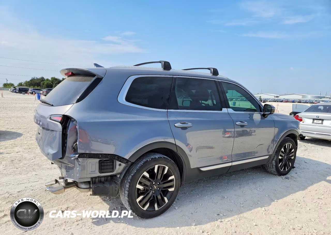 2024 Kia Telluride Sx VIN:5XYP54GC2RG564618 - 3