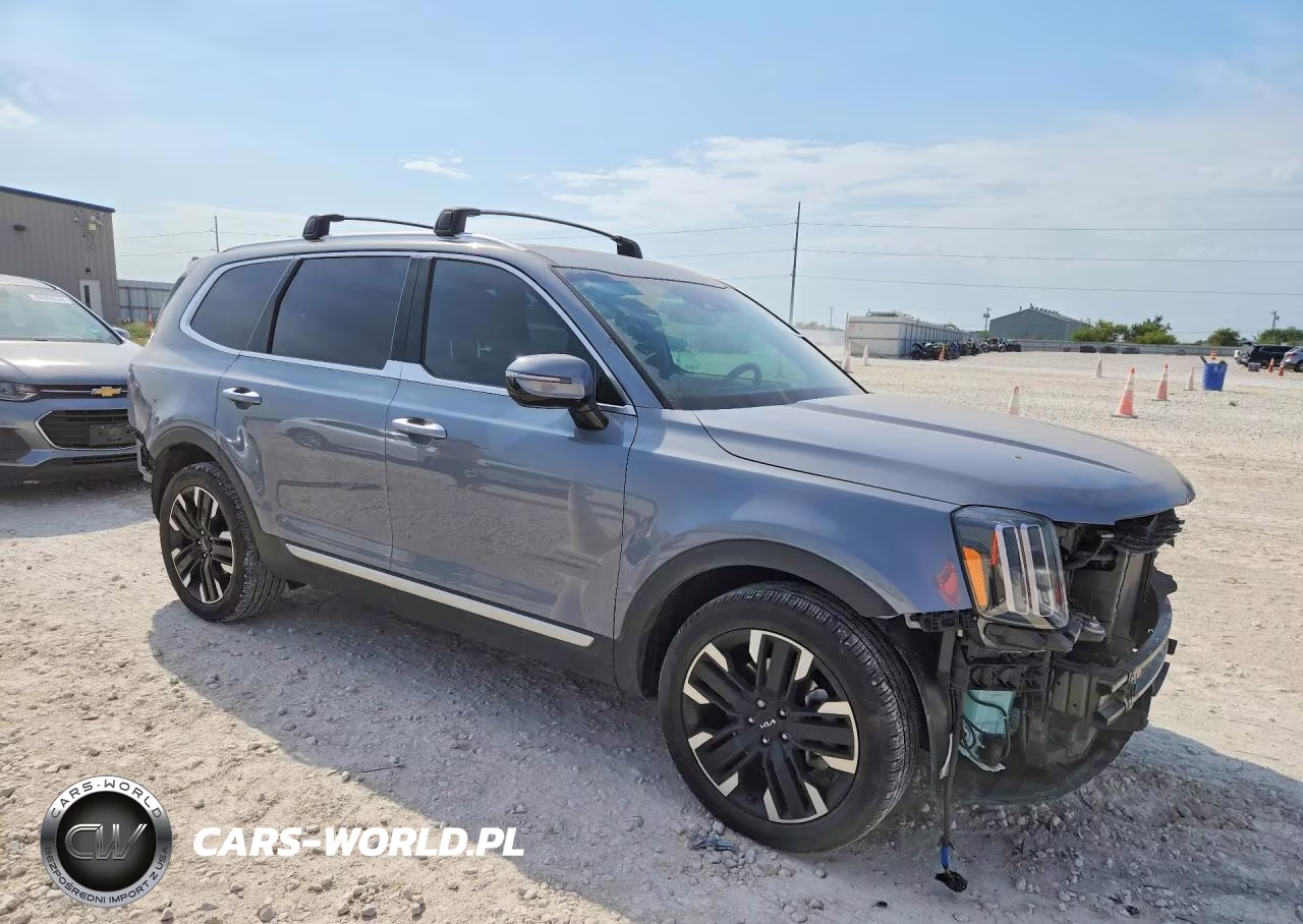 2024 Kia Telluride Sx VIN:5XYP54GC2RG564618 - 4
