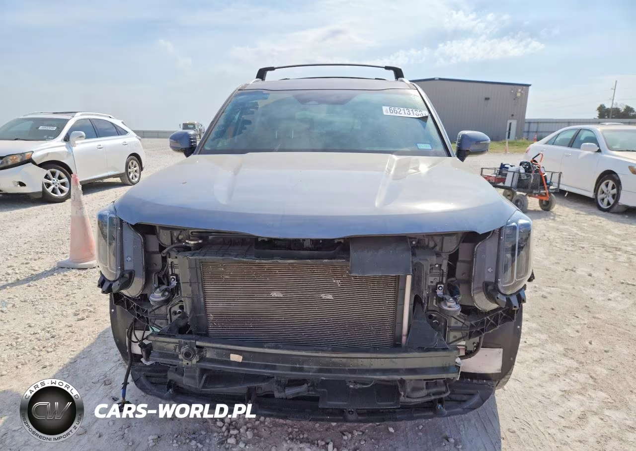 2024 Kia Telluride Sx VIN:5XYP54GC2RG564618 - 5
