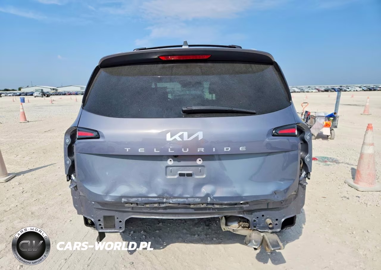 2024 Kia Telluride Sx VIN:5XYP54GC2RG564618 - 6
