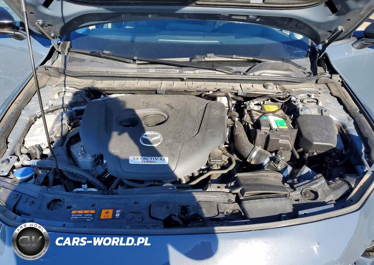 2023 Mazda 3 Premium Plus VIN:3MZBPBEY7PM350311 - 11