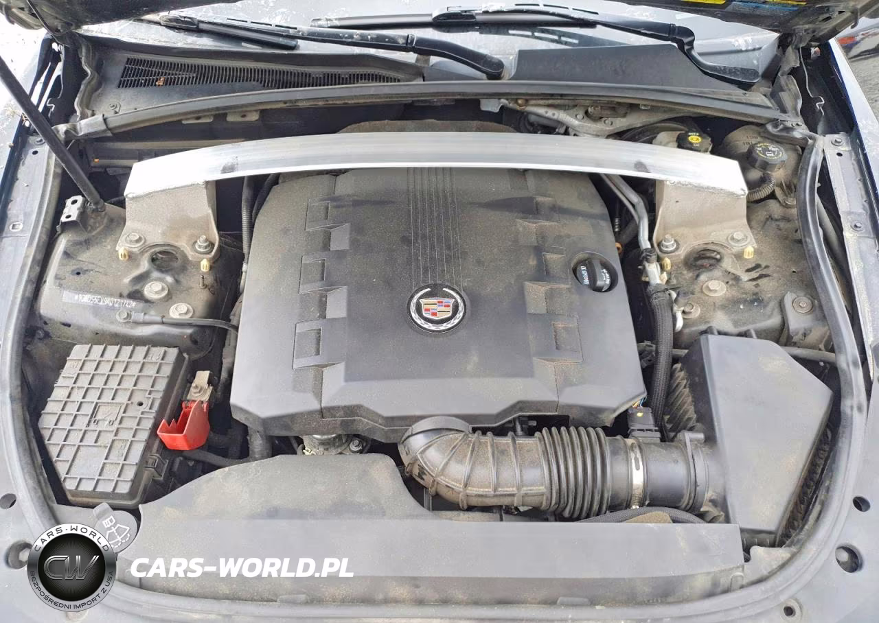 2010 Cadillac Cts Premium Collection VIN:1G6DS5EV9A0121742 - 11
