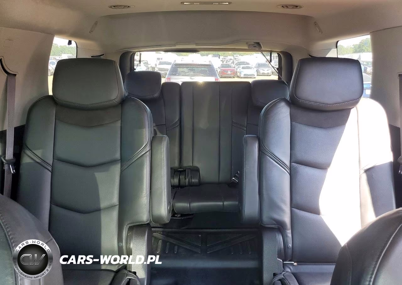 2015 Cadillac Escalade Premium VIN:1GYS3NKJ7FR555318 - 10