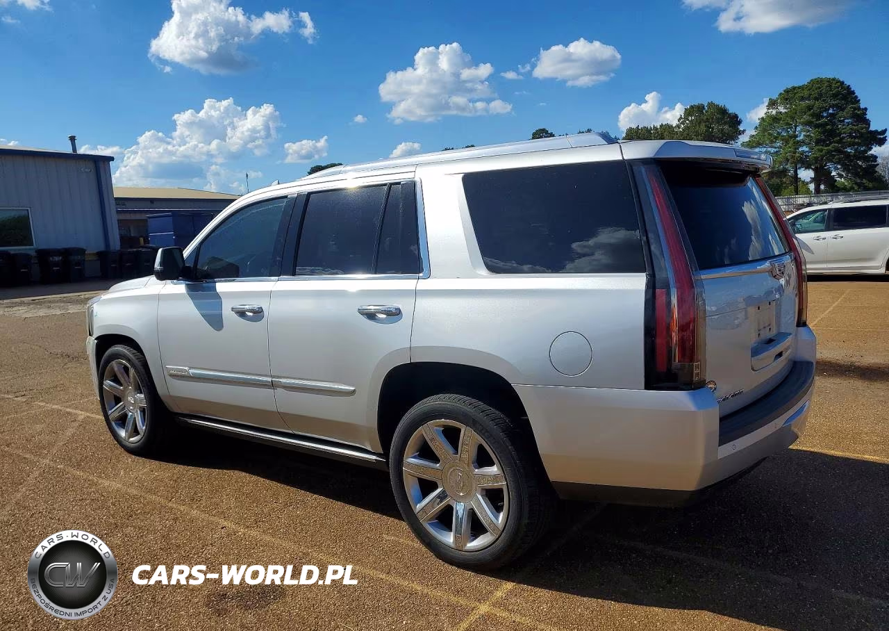 2015 Cadillac Escalade Premium VIN:1GYS3NKJ7FR555318 - 2