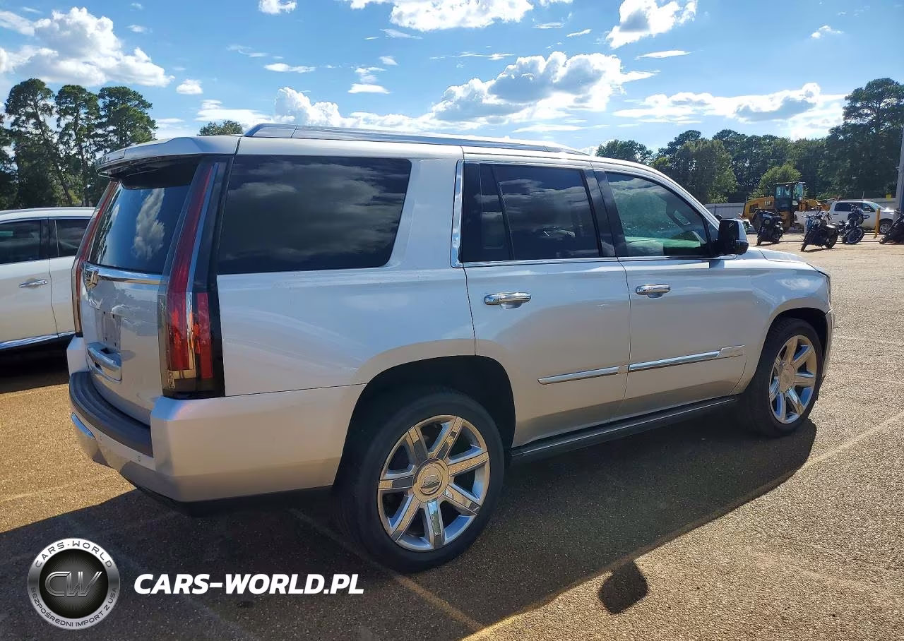 2015 Cadillac Escalade Premium VIN:1GYS3NKJ7FR555318 - 3