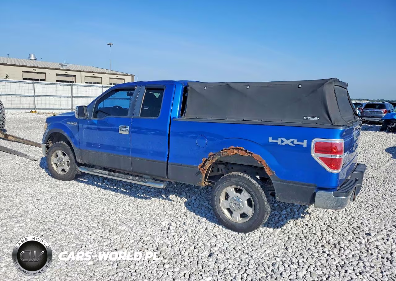 2009 Ford F150 Super Cab VIN:1FTRX14819KB44392 - 2
