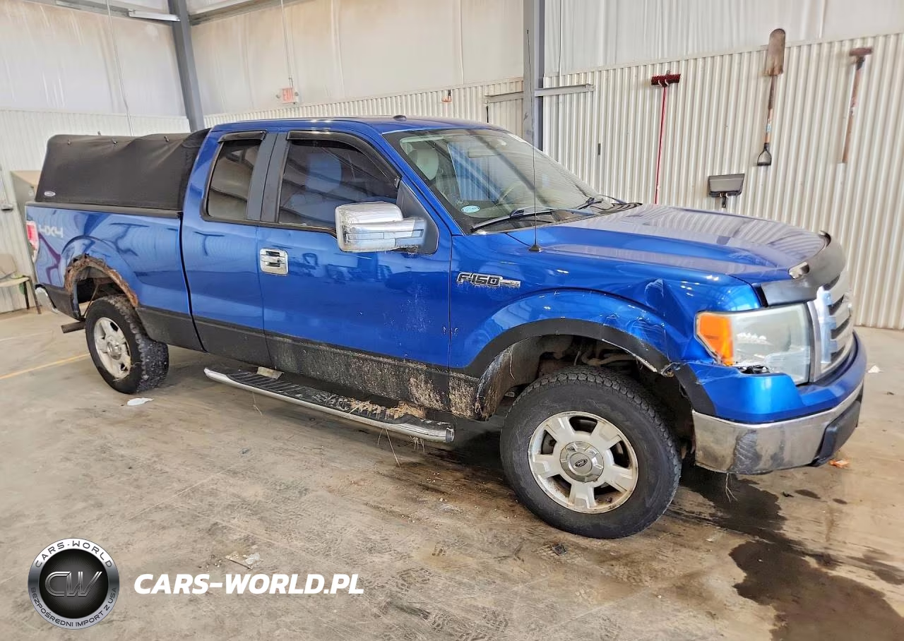 2009 Ford F150 Super Cab VIN:1FTRX14819KB44392 - 4