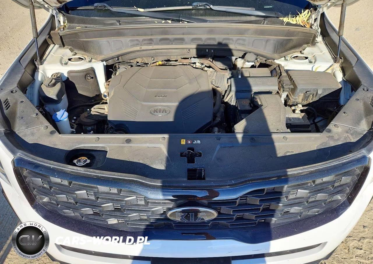 2021 Kia Telluride Ex VIN:5XYP3DHC3MG178805 - 12