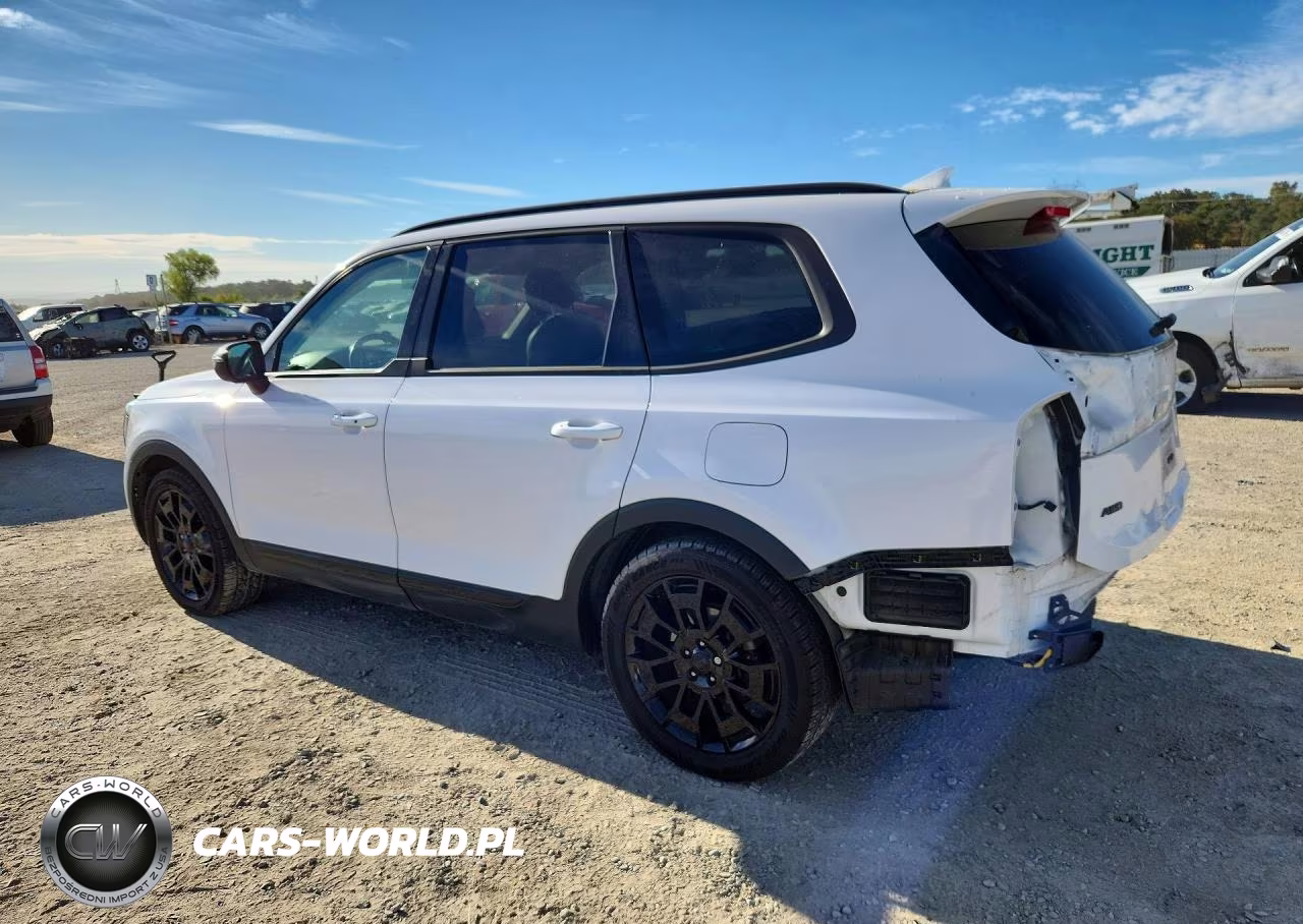 2021 Kia Telluride Ex VIN:5XYP3DHC3MG178805 - 2