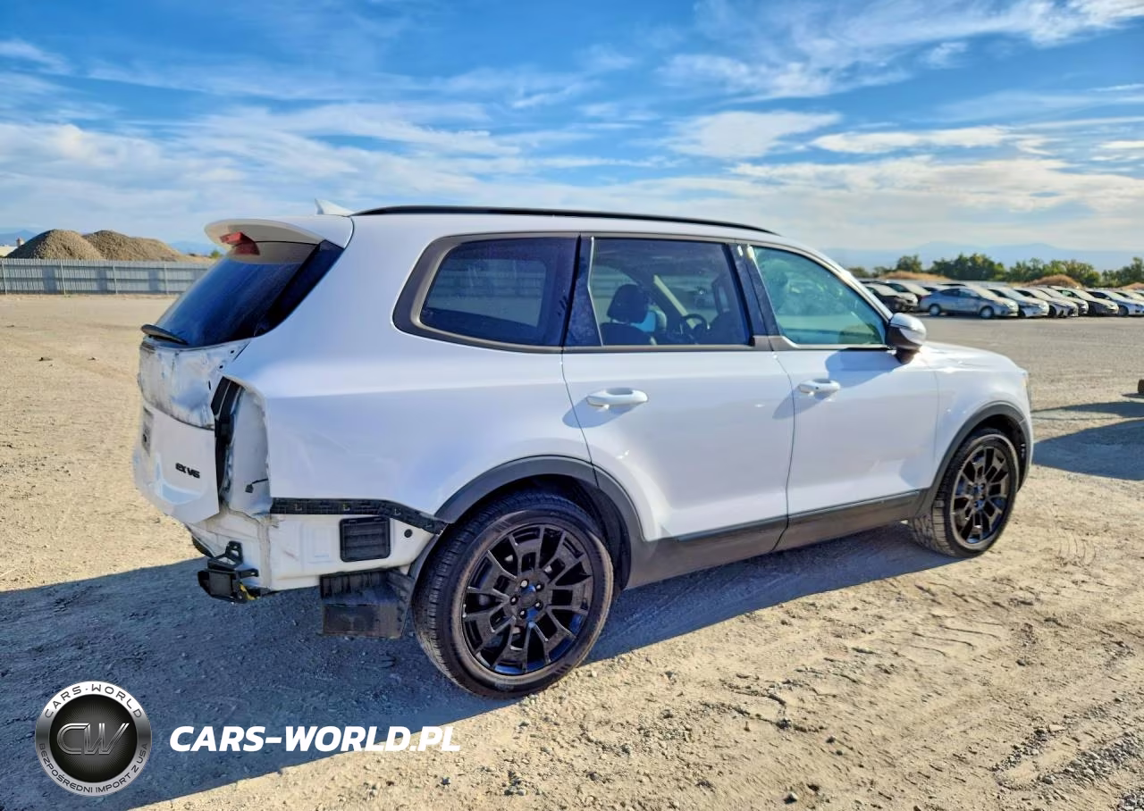 2021 Kia Telluride Ex VIN:5XYP3DHC3MG178805 - 3