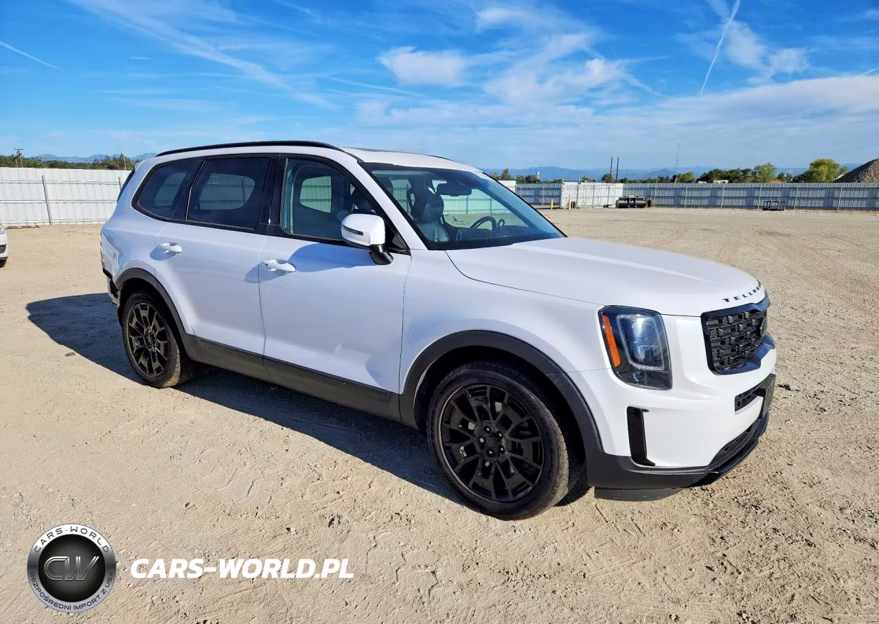 2021 Kia Telluride Ex VIN:5XYP3DHC3MG178805 - 4
