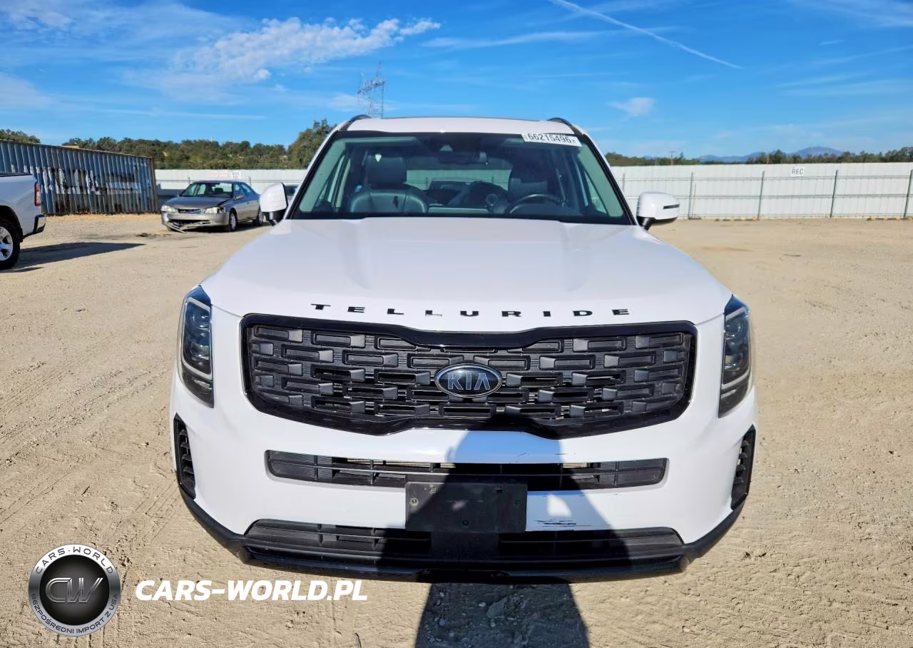 2021 Kia Telluride Ex VIN:5XYP3DHC3MG178805 - 5