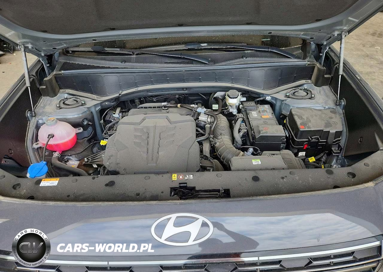 2026 Hyundai Palisade Calligraphy VIN:KM8RMES23TU053274 - 12