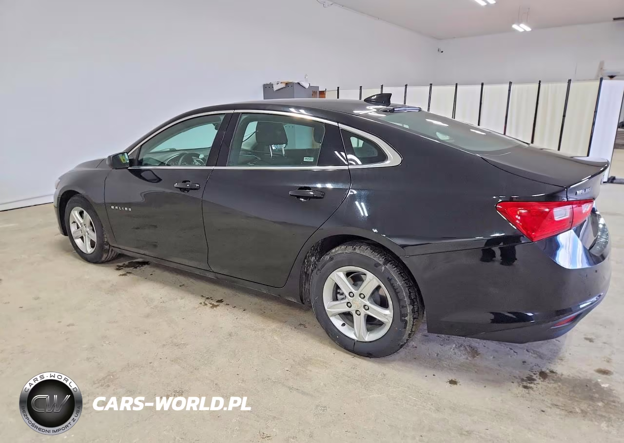 2024 Chevrolet Malibu Lt VIN:1G1ZD5ST0RF115264 - 2