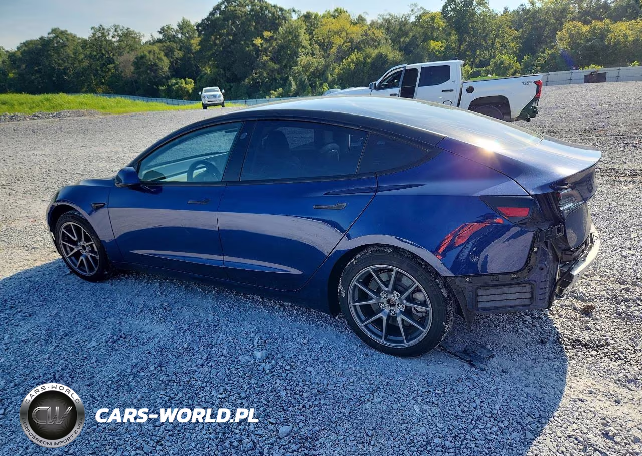 2021 Tesla Model 3 VIN:5YJ3E1EAXMF923356 - 2