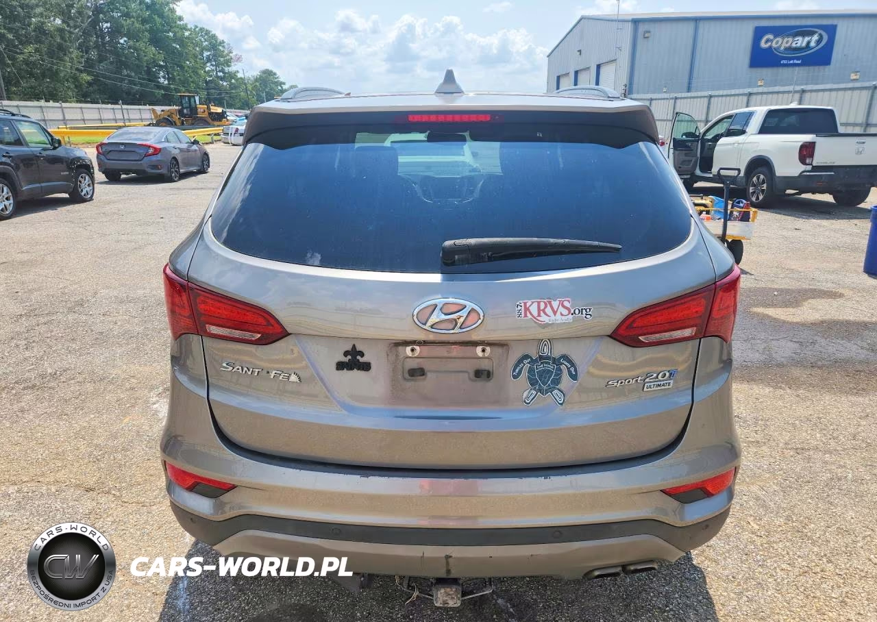 2017 Hyundai Santa Fe Sport 2.0T Ultimate VIN:5NMZW4LA1HH052198 - 6