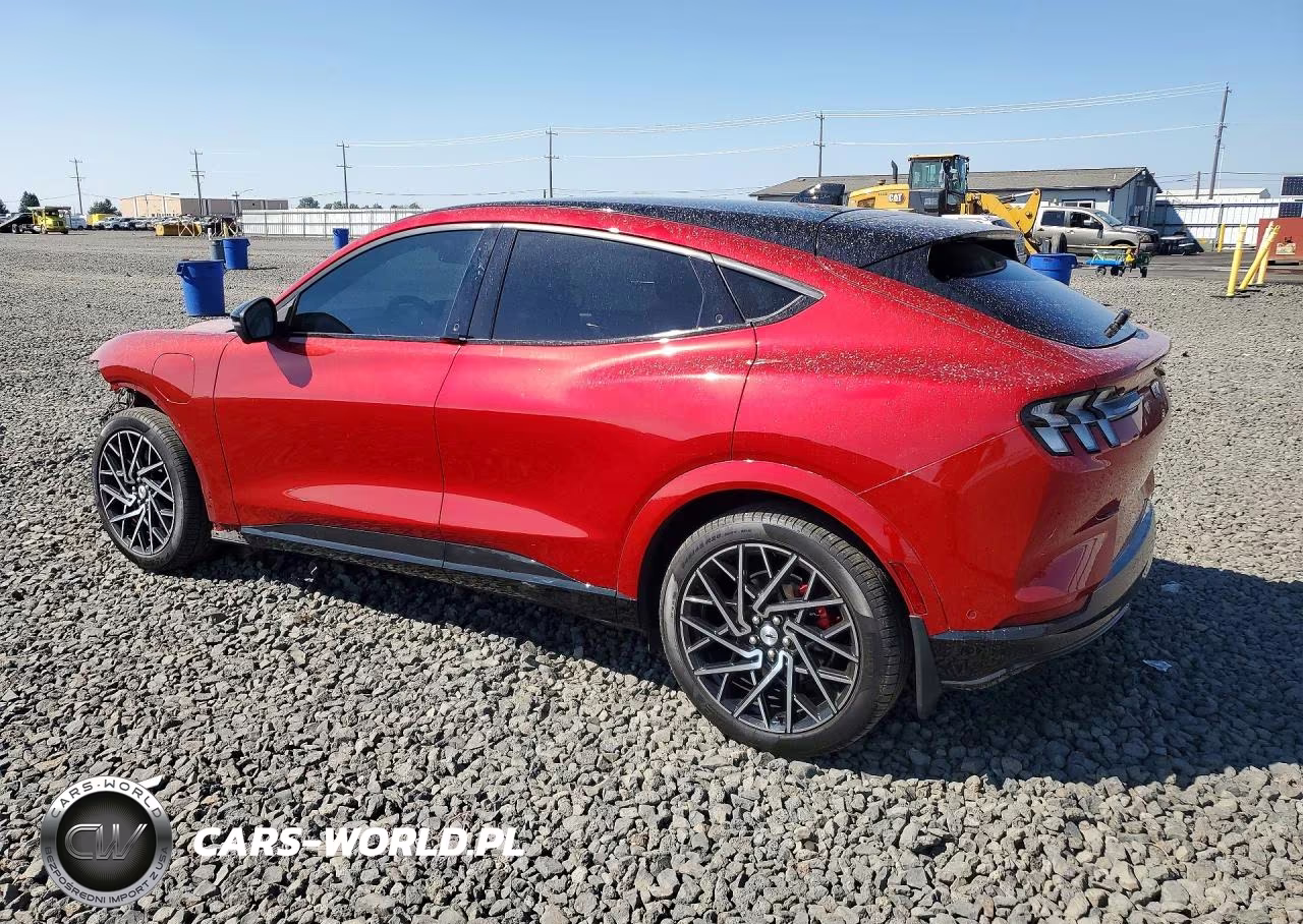 2021 Ford Mustang Mach-E Gt VIN:3FMTK4SX1MME04464 - 2