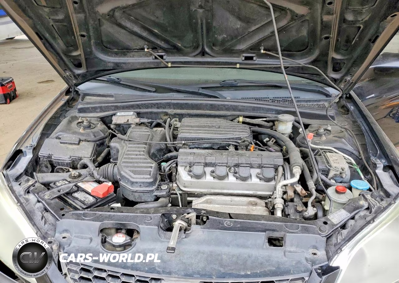 2004 Honda Civic Ex VIN:1HGEM22954L030196 - 11