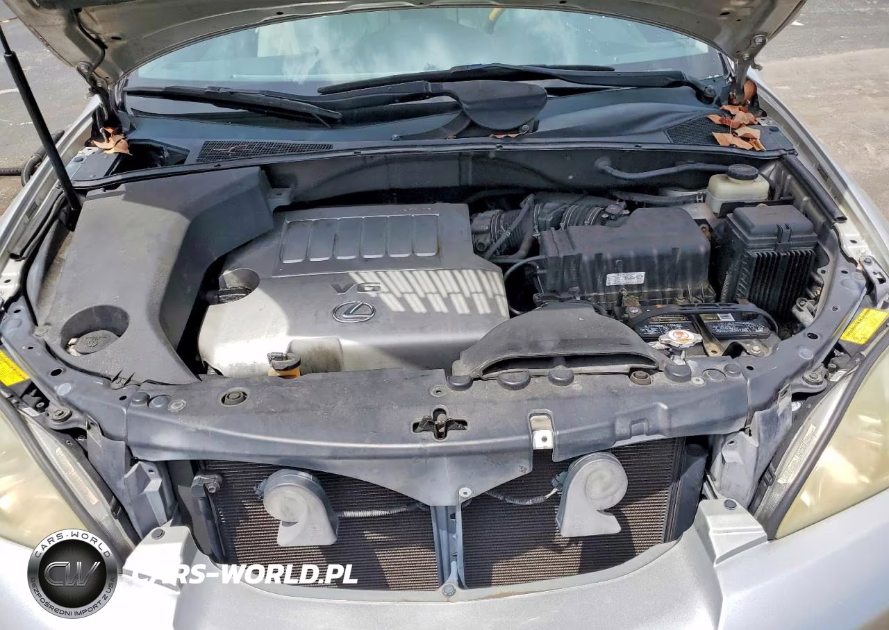 2007 Lexus Rx 350 VIN:2T2GK31U37C021965 - 12
