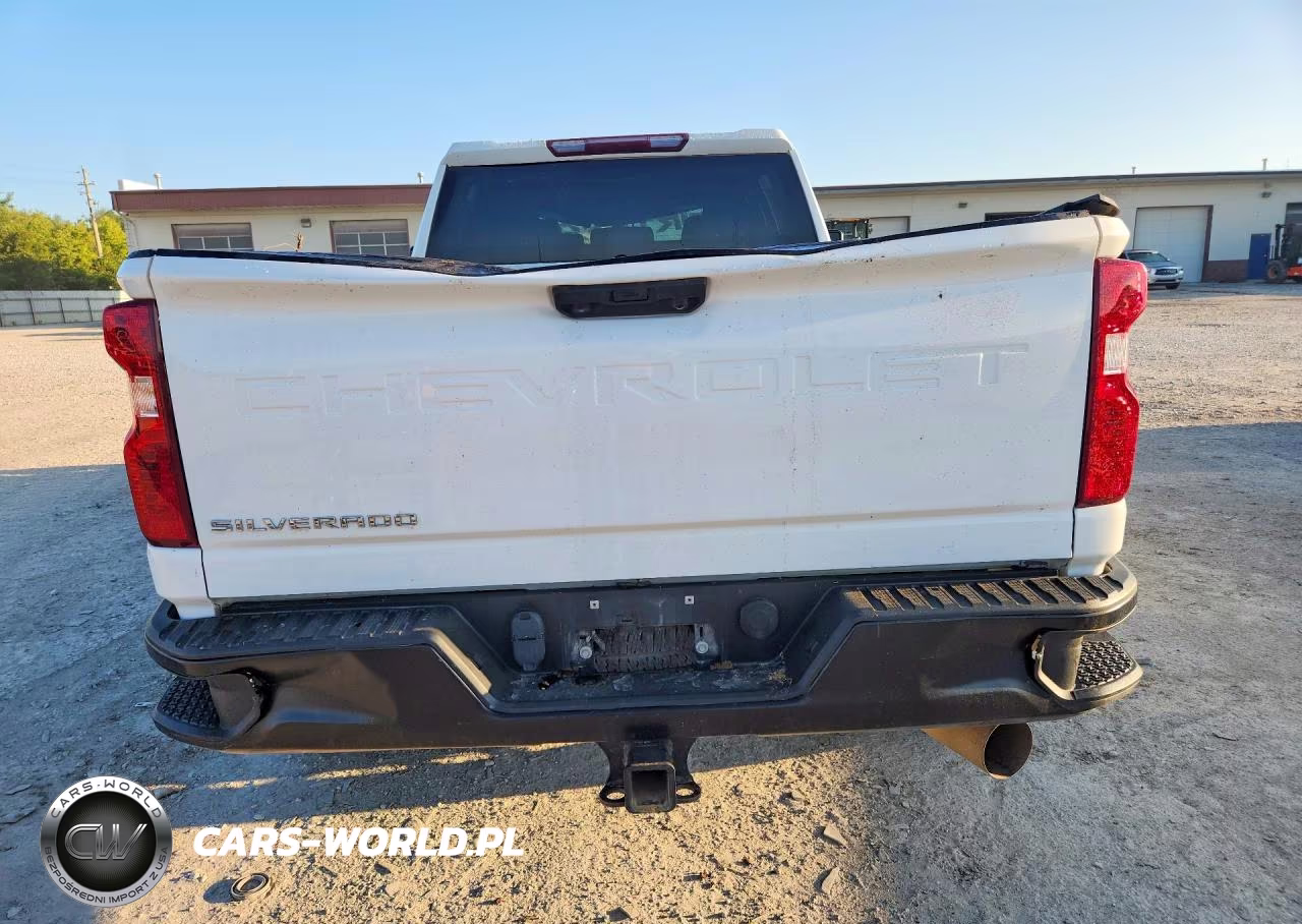 2021 Chevrolet Silverado K2500 Heavy Duty VIN:1GC4YLEY3MF113423 - 6