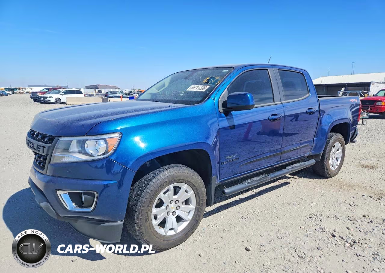 2019 Chevrolet Colorado Lt VIN:1GCGTCEN1K1346616 - 1