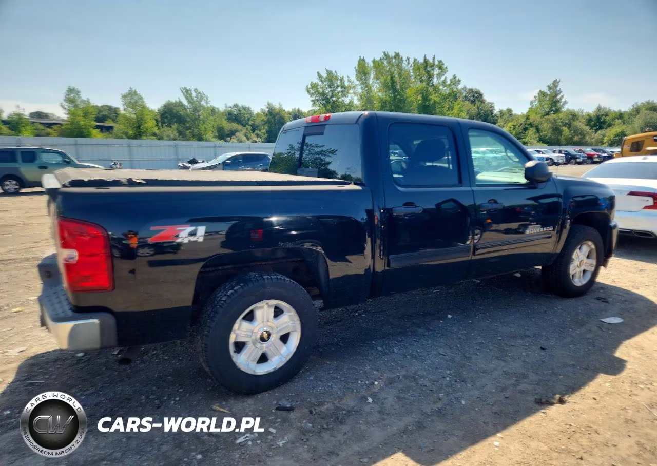 2010 Chevrolet Silverado K1500 Lt VIN:3GCRKSE39AG138844 - 3