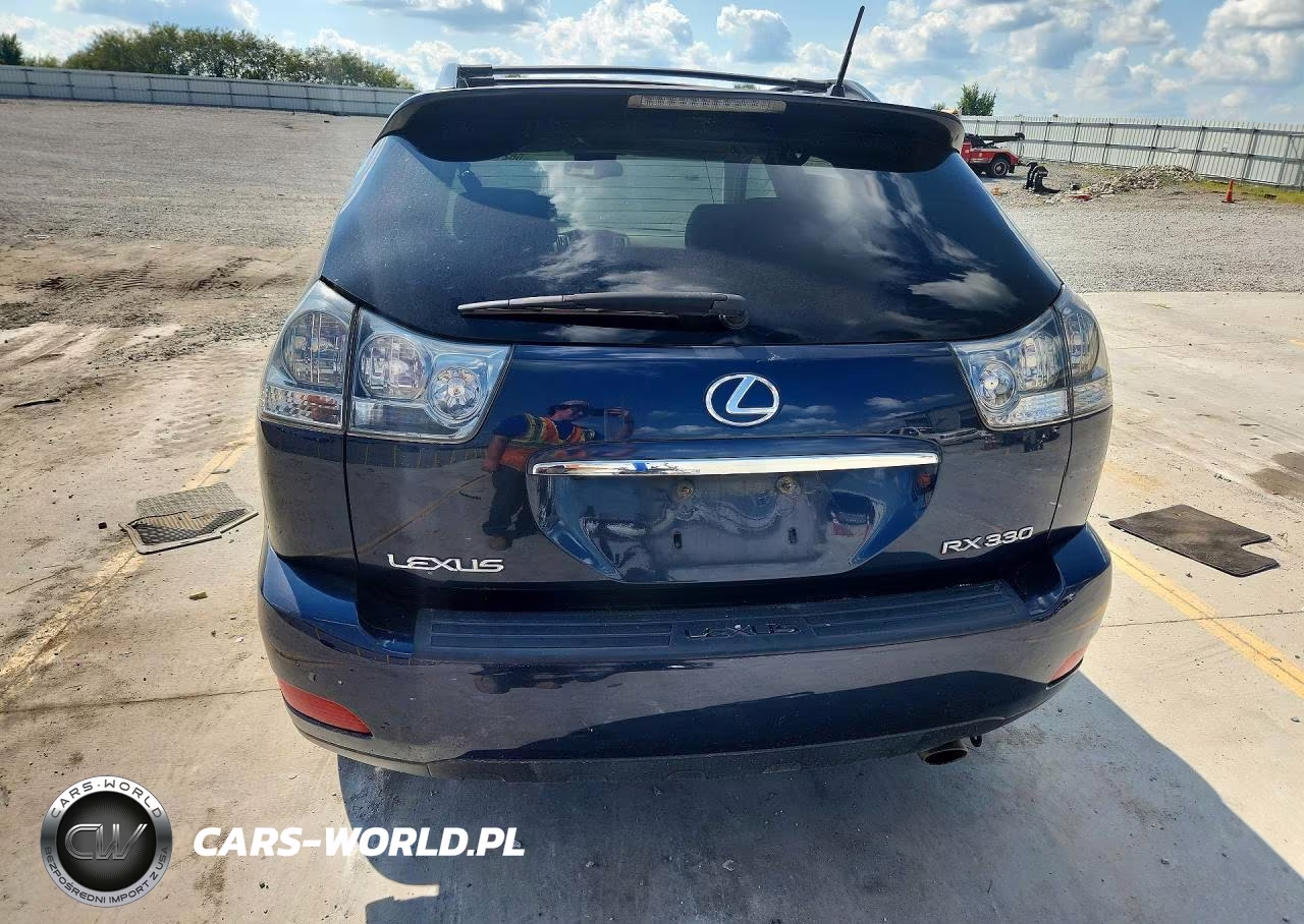 2004 Lexus Rx 330 VIN:JTJGA31U740002703 - 6