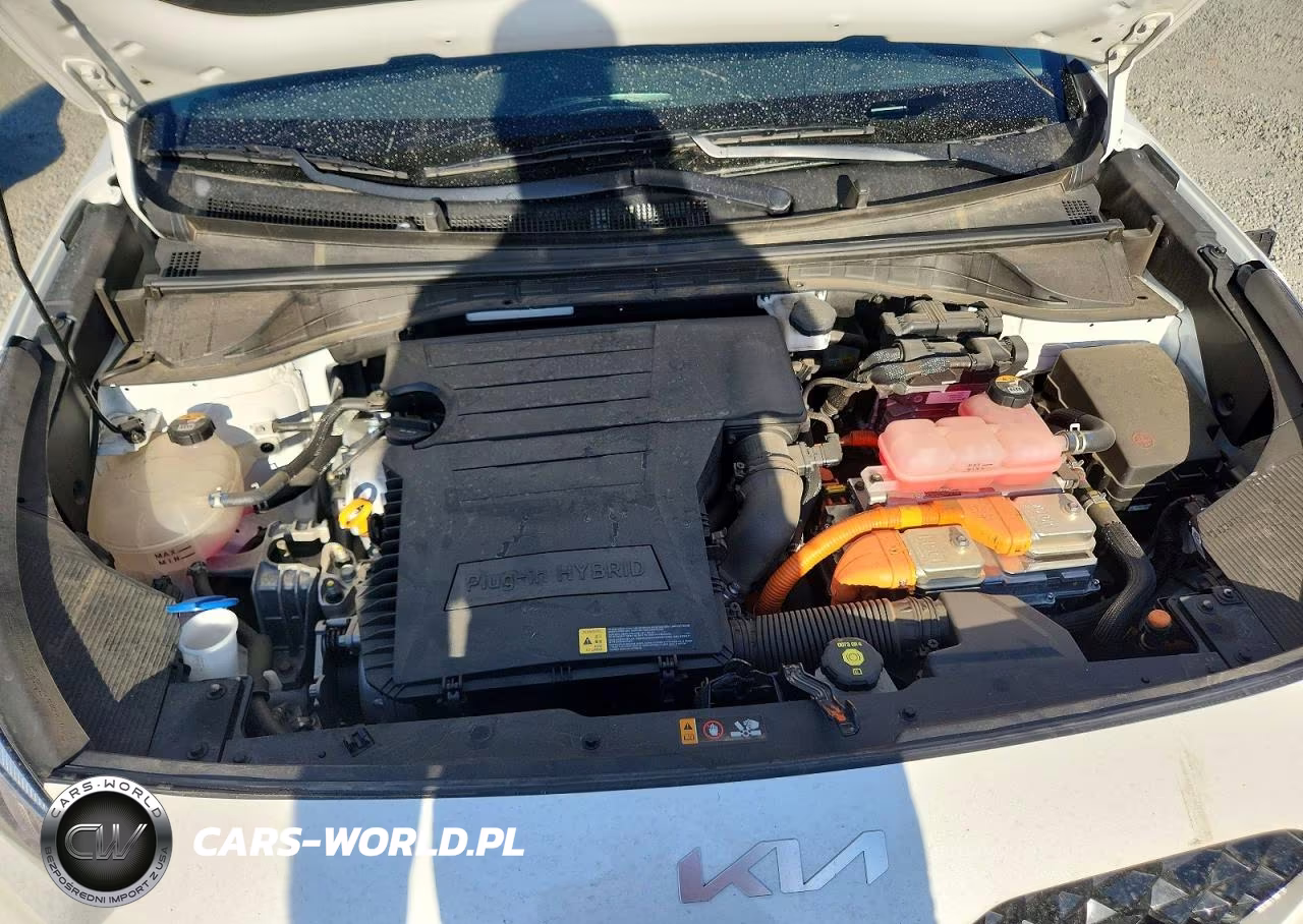 2022 Kia Niro Ex Premium VIN:KNDCC3LD9N5490789 - 12