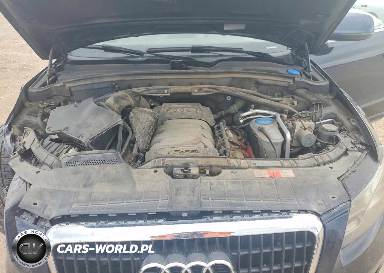 2010 Audi Q5 Prestige VIN:WA1VKAFP9AA049195 - 12