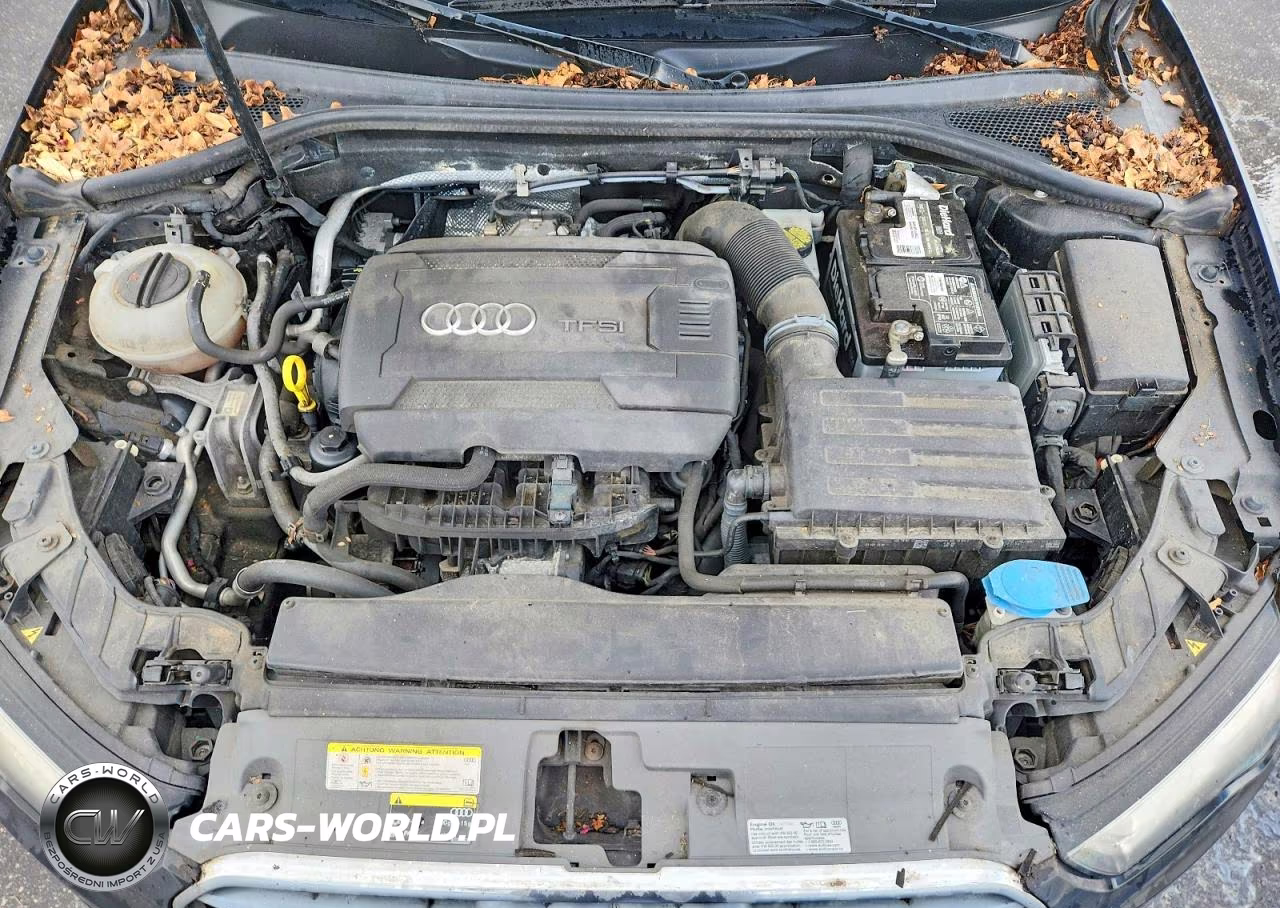 2015 Audi A3 Premium VIN:WAUACGFF5F1123678 - 11