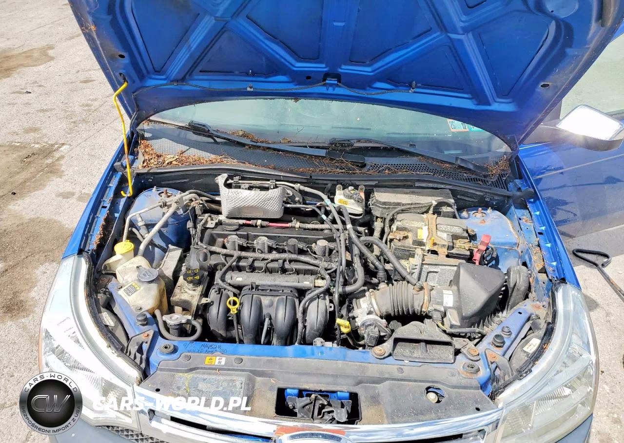 2011 Ford Focus Sel VIN:1FAHP3HN5BW176130 - 11