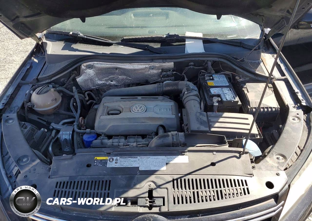 2013 Volkswagen Tiguan S VIN:WVGAV3AX6DW598659 - 11