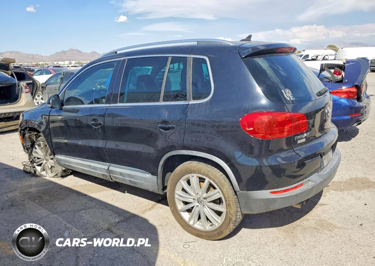 2013 Volkswagen Tiguan S VIN:WVGAV3AX6DW598659 - 2