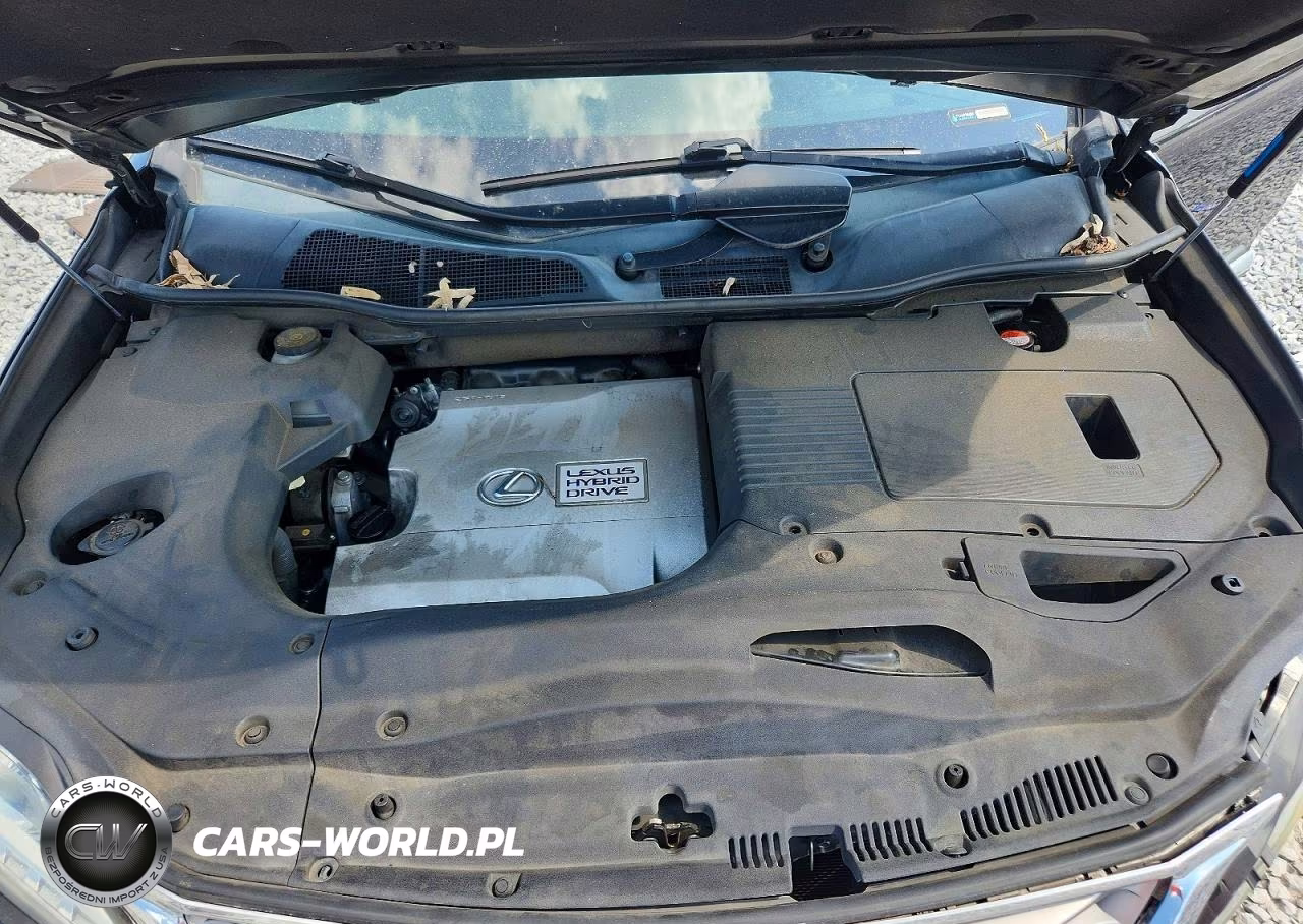 2015 Lexus Rx 450H VIN:2T2BC1BA2FC008946 - 12