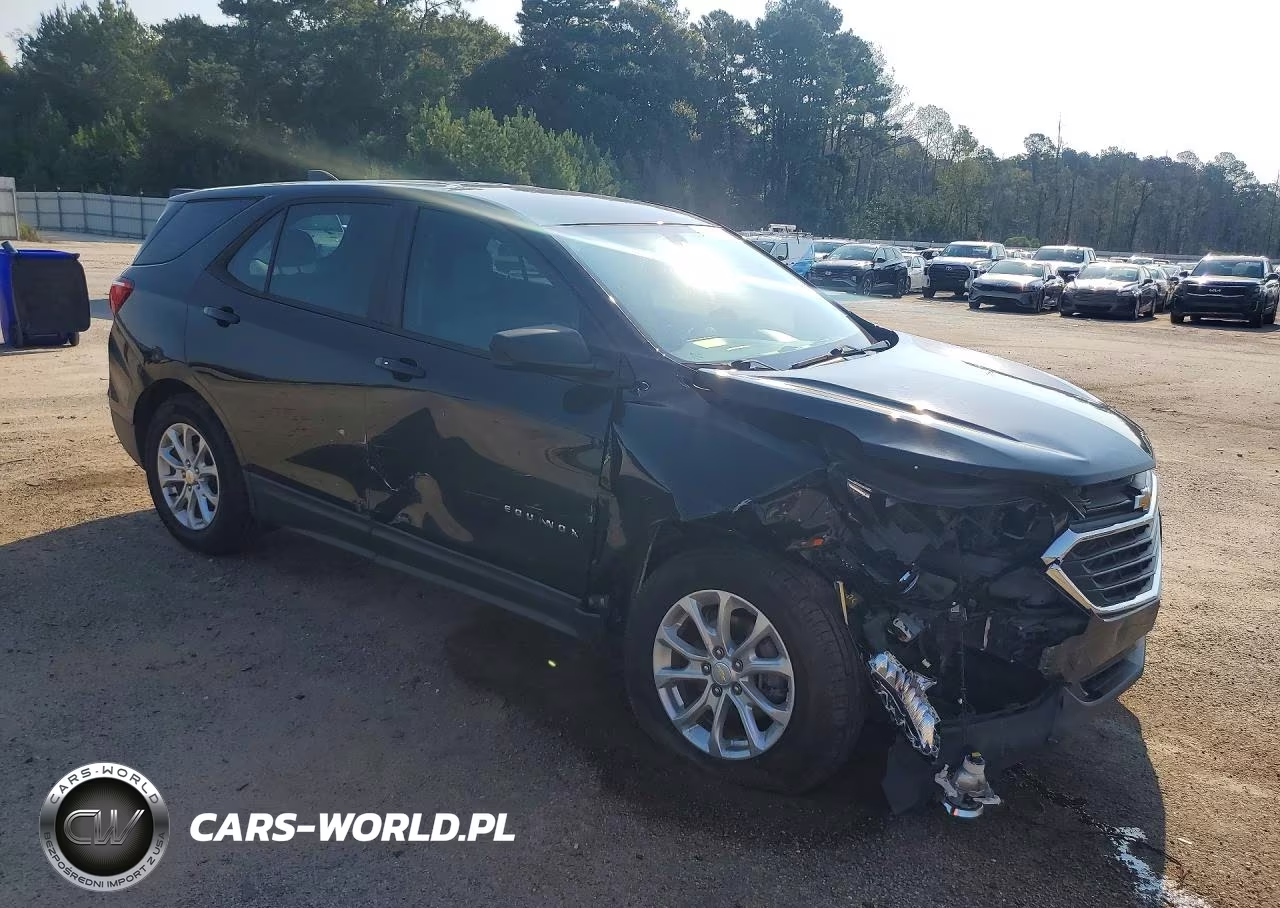 2020 Chevrolet Equinox Ls VIN:2GNAXHEV9L6274898 - 4