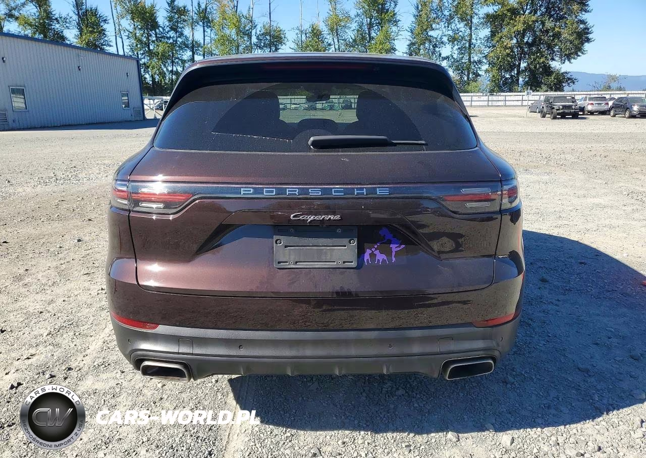 2019 Porsche Cayenne VIN:WP1AA2AY8KDA17981 - 6